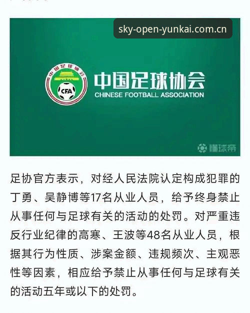 中国足协第三批禁足名单深度评测：从65人处罚看行业乱象，云开体育平台解析背后逻辑